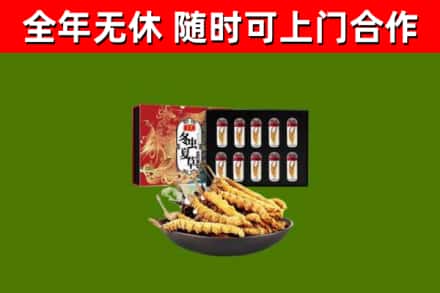麦积区烟酒回收冬虫夏草礼盒.jpg